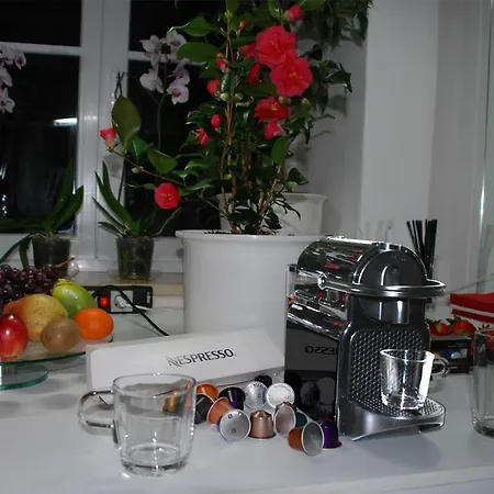 Artist Schwabing Apartment Munich