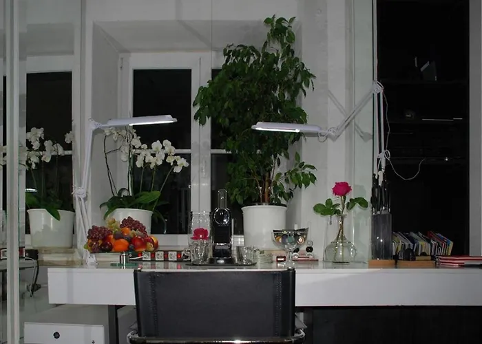 アーティスト レジデンス シュヴァービンク *